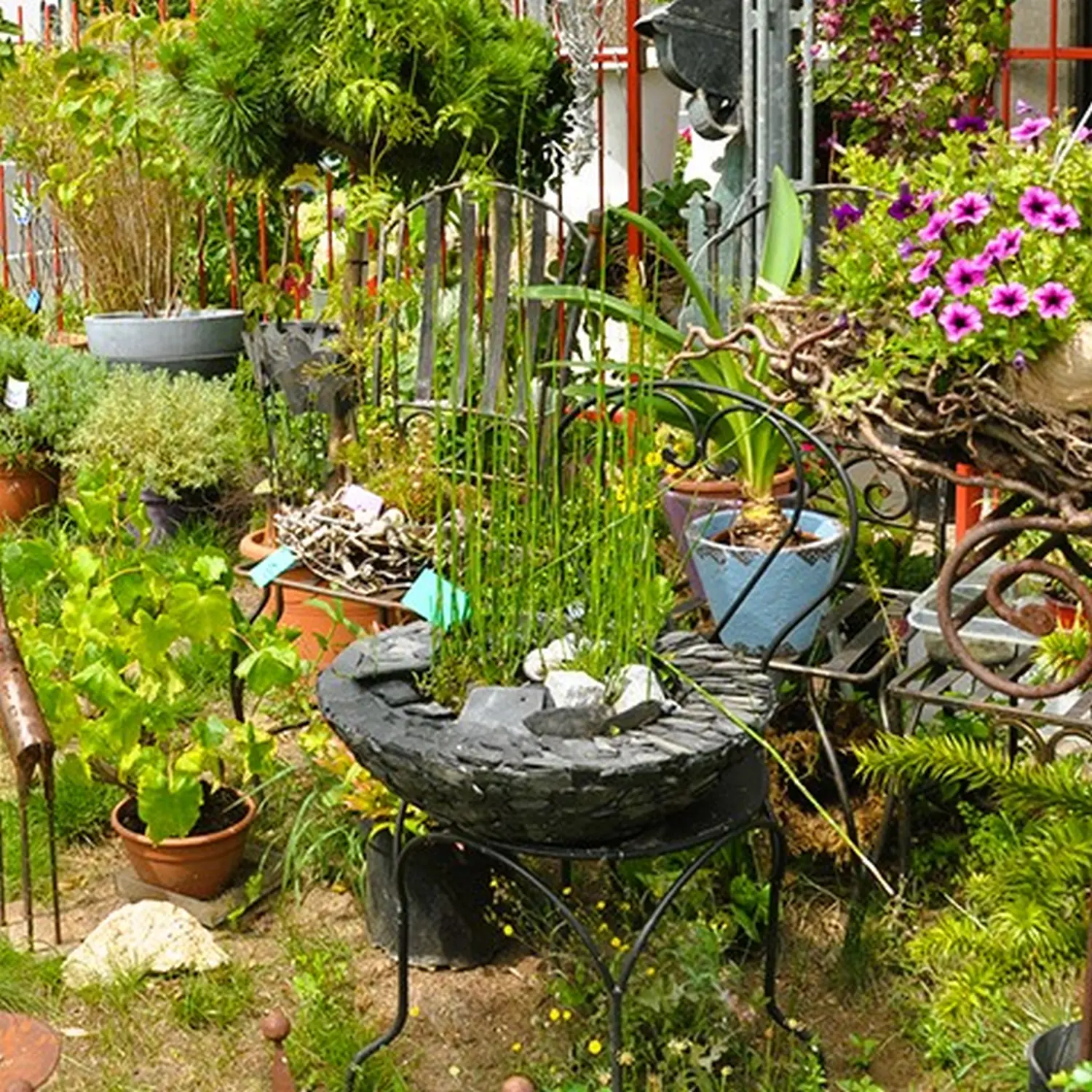 Tetta Knoll - Blumenhandwerk - Balkon und Gartenbepflanzung
