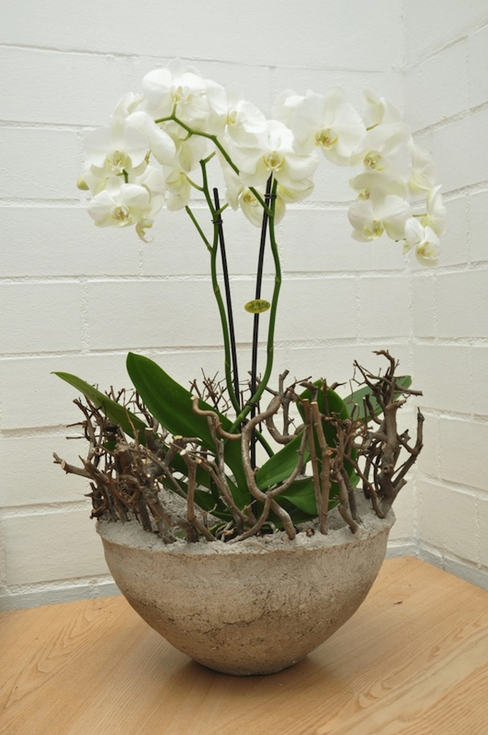 Tetta Knoll - Blumenhandwerk - Florale Kunstobjekte